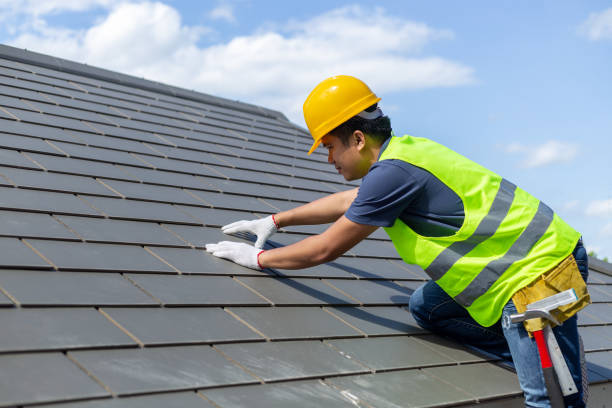 Best Roof Gutter Cleaning  in Fall River, MA